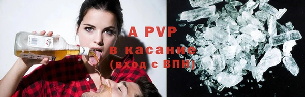 гидра Вязьма