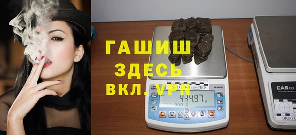 гидра Вязьма