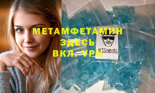 гидра Вязьма