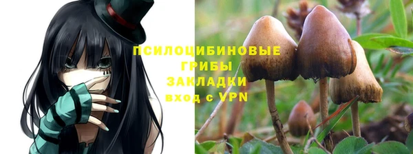 МДПВ Покровск