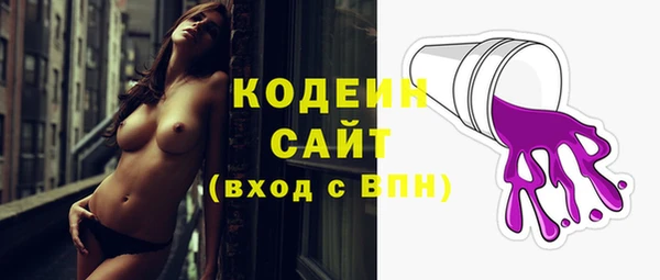гидра Вязьма