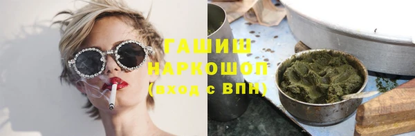 PSILOCYBIN Вяземский