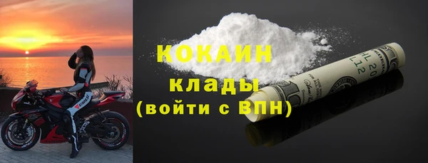 гидра Вязьма