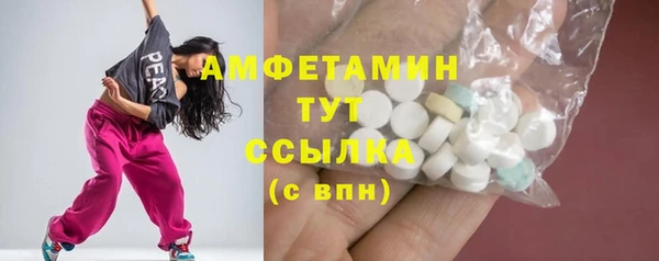 гидра Вязьма