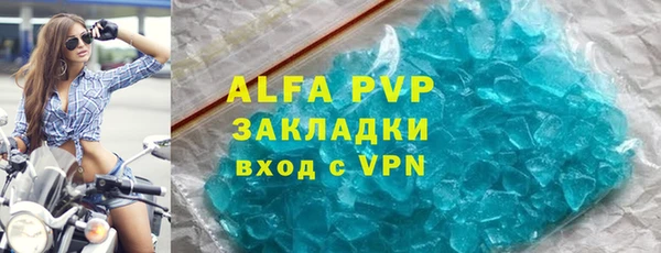 PSILOCYBIN Вяземский