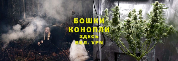PSILOCYBIN Вяземский