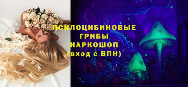 гидра Вязьма