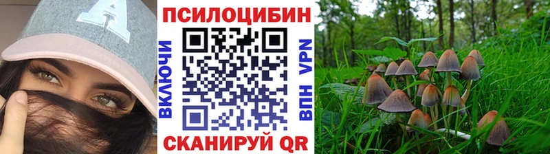 сайты даркнета наркотические препараты  Жуков  Псилоцибиновые грибы Cubensis  где найти  